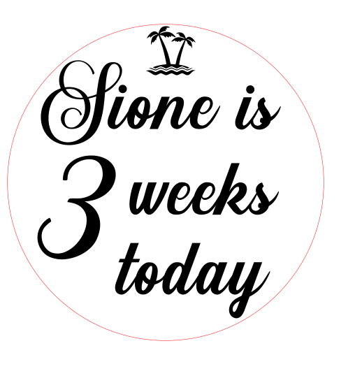 Personalised Baby Week - Month Milestone Discs Double Sided