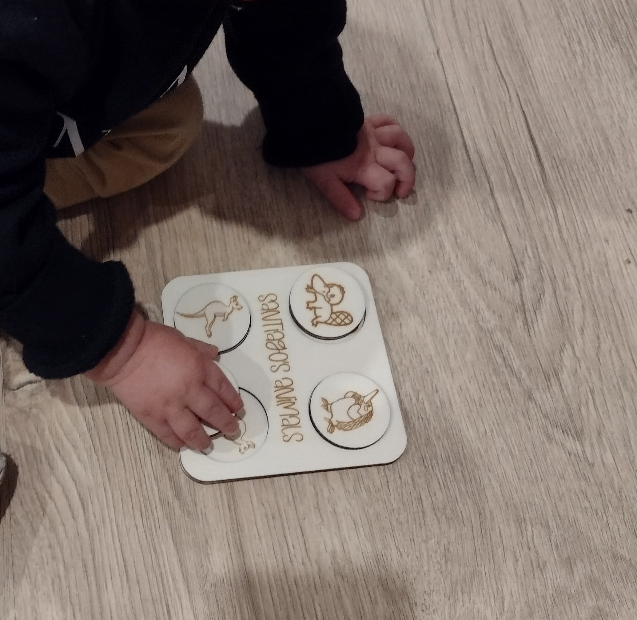 Educational Australian Animal Puzzle