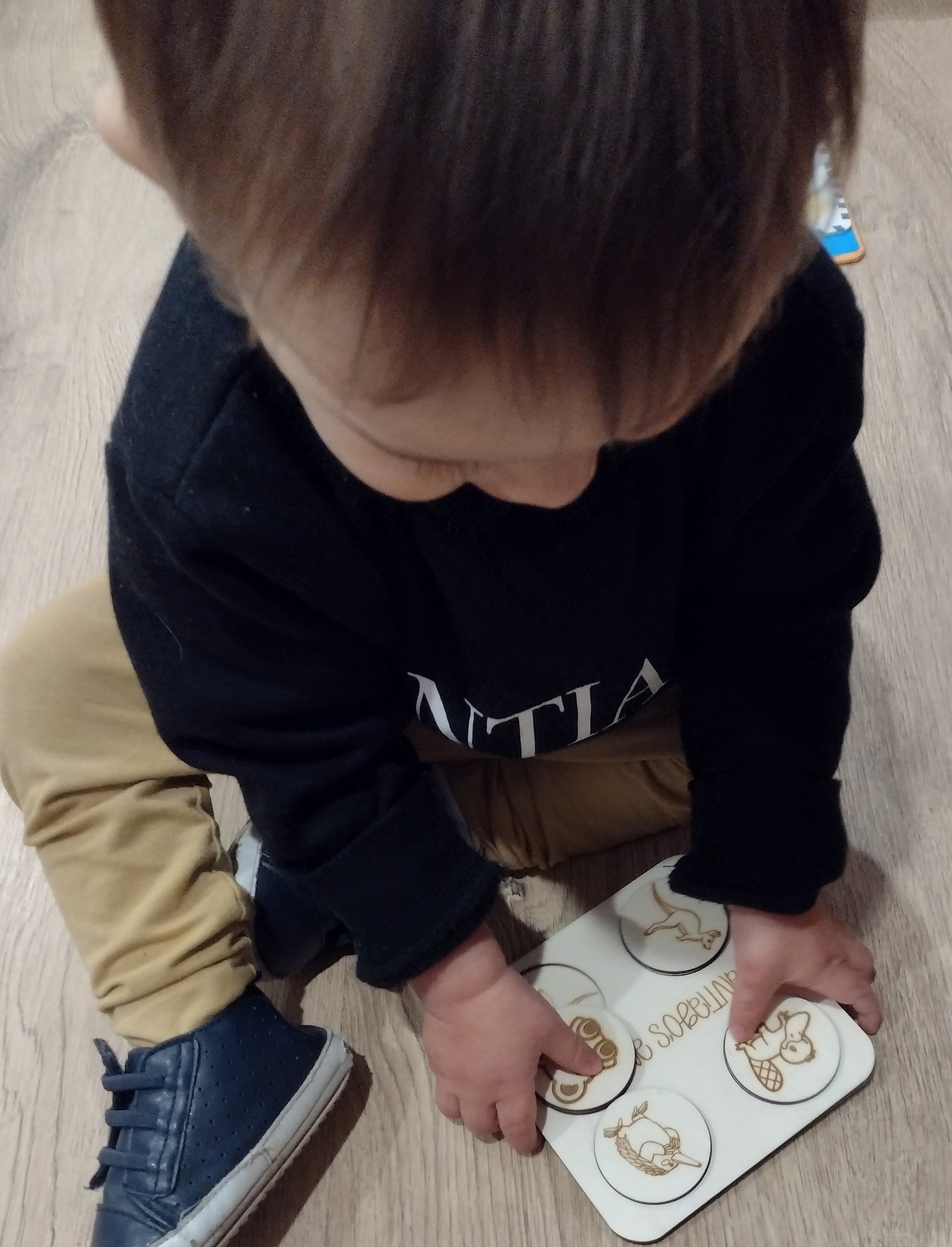 Educational Australian Animal Puzzle