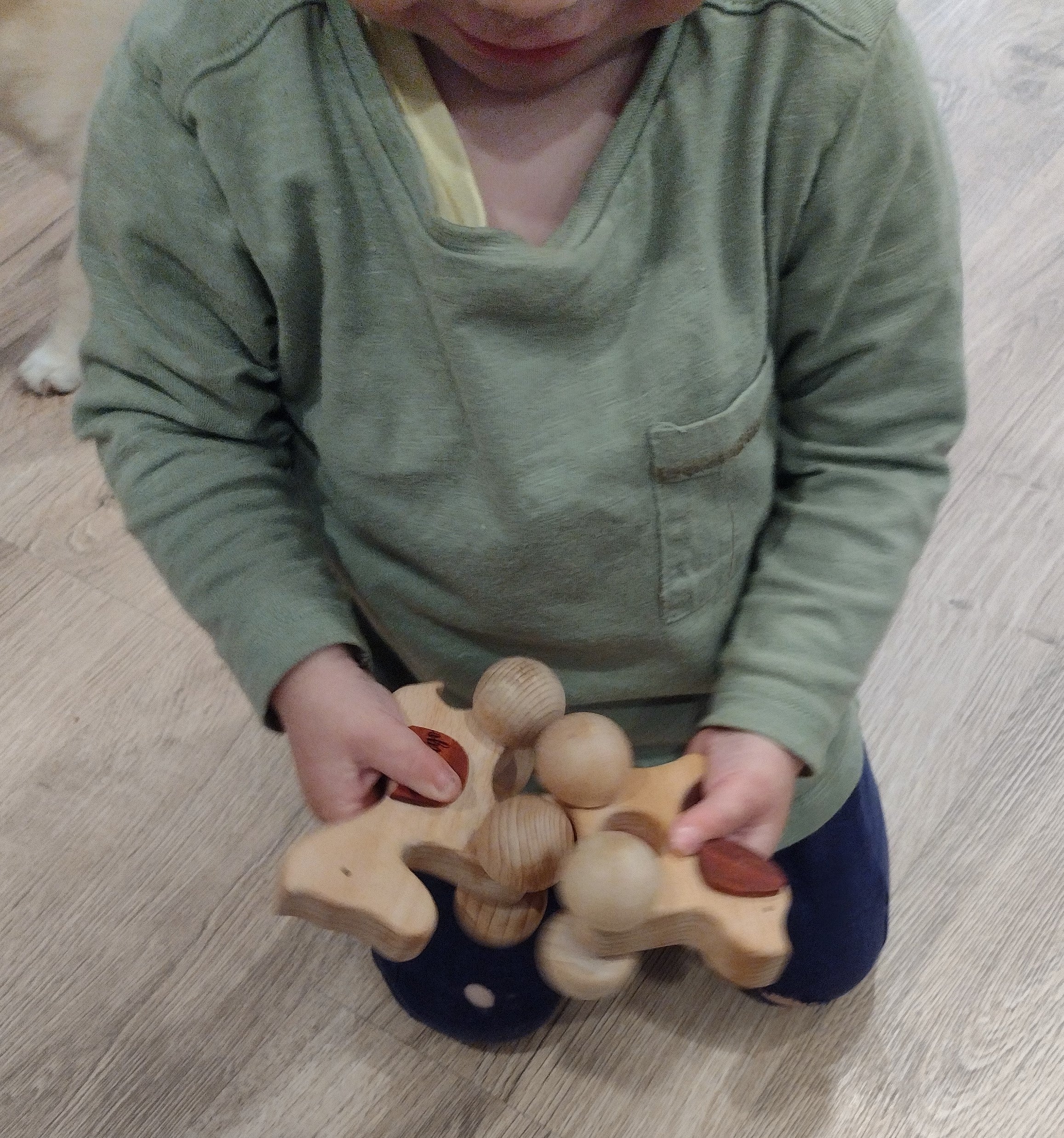 Montessori Wooden Baby Horse Toy