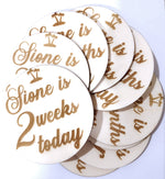 Load image into Gallery viewer, Personalised Baby Week - Month Milestone Discs Double Sided
