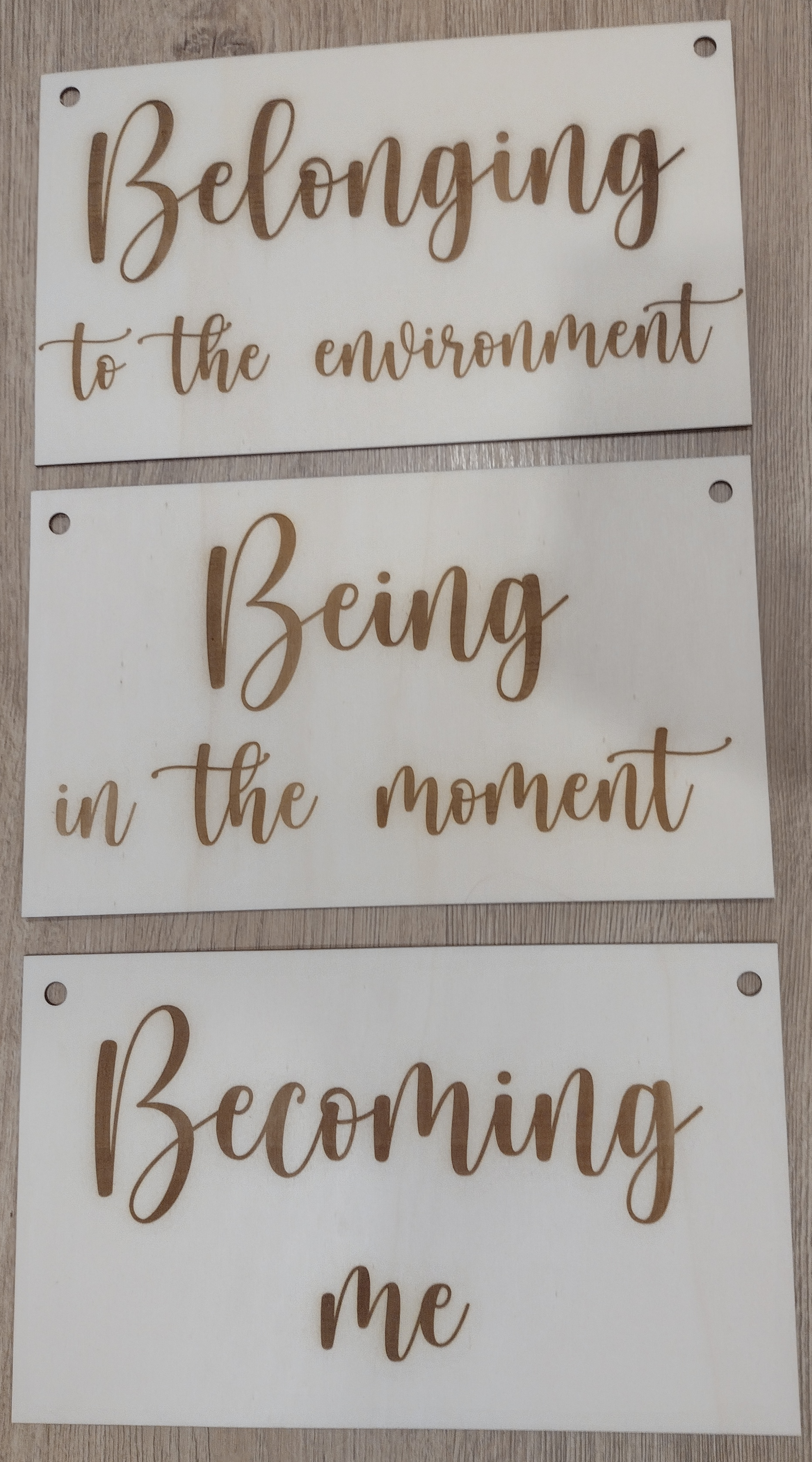 Belonging, Being, Becoming Signs